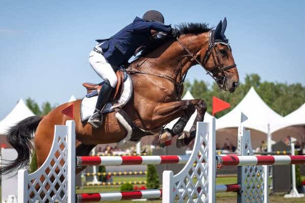 What can hypnotherapy help with horse riding show jumping sport